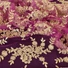 Kép 1/3 - Bordűrös csipke – Hímzet arany mintával, pink alapon, flitterrel díszítve, "Jázmin"