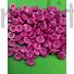 Kép 2/3 - Inggomb – Pink színben, négylyukú, 10mm