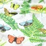 Kép 1/4 - Pamutvászon – Színes pillangó mintával