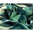 Kép 4/6 - Selyem – Super soft sötétzöld márvány mintával
