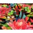 Kép 4/6 - Viszkóz selyem – Pink színű nagy virágos mintával, DigitalPrint (9)